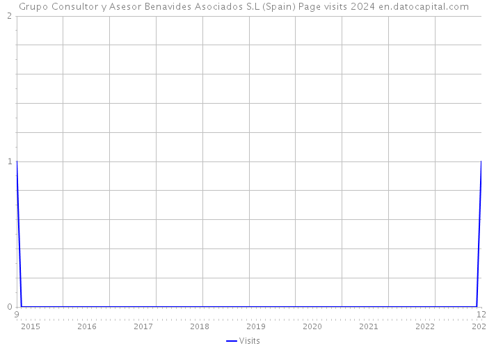 Grupo Consultor y Asesor Benavides Asociados S.L (Spain) Page visits 2024 