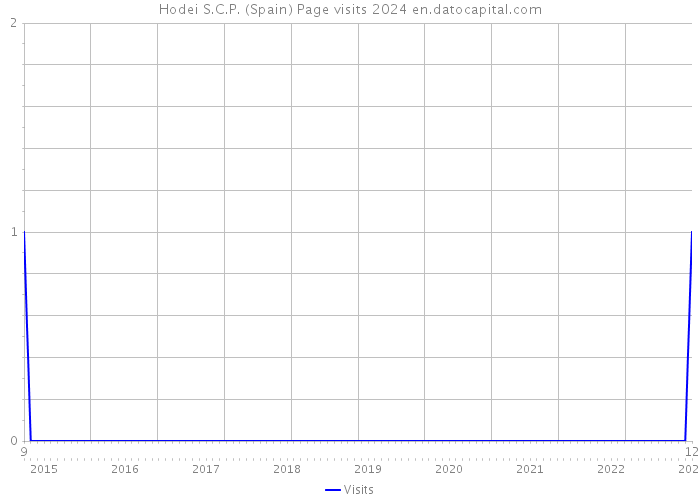 Hodei S.C.P. (Spain) Page visits 2024 