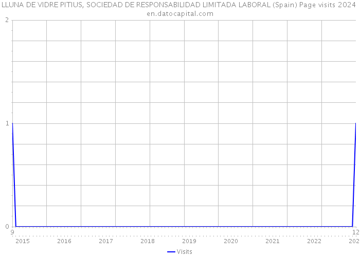 LLUNA DE VIDRE PITIUS, SOCIEDAD DE RESPONSABILIDAD LIMITADA LABORAL (Spain) Page visits 2024 