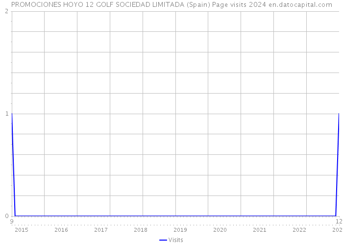 PROMOCIONES HOYO 12 GOLF SOCIEDAD LIMITADA (Spain) Page visits 2024 