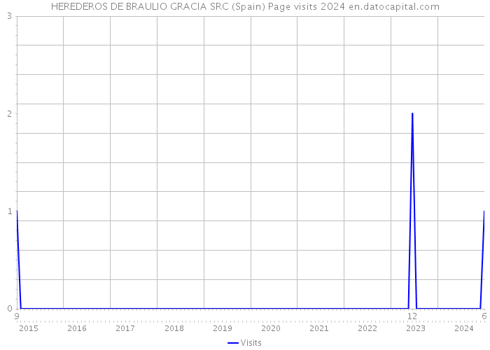 HEREDEROS DE BRAULIO GRACIA SRC (Spain) Page visits 2024 