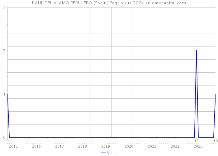RAUL DEL ALAMO PERULERO (Spain) Page visits 2024 