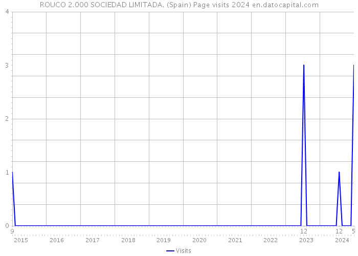 ROUCO 2.000 SOCIEDAD LIMITADA. (Spain) Page visits 2024 