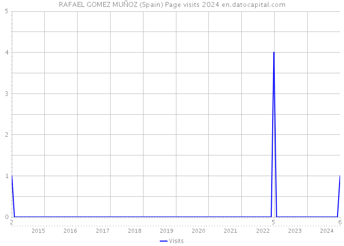 RAFAEL GOMEZ MUÑOZ (Spain) Page visits 2024 