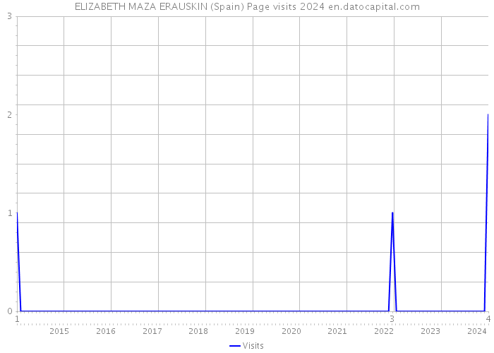 ELIZABETH MAZA ERAUSKIN (Spain) Page visits 2024 