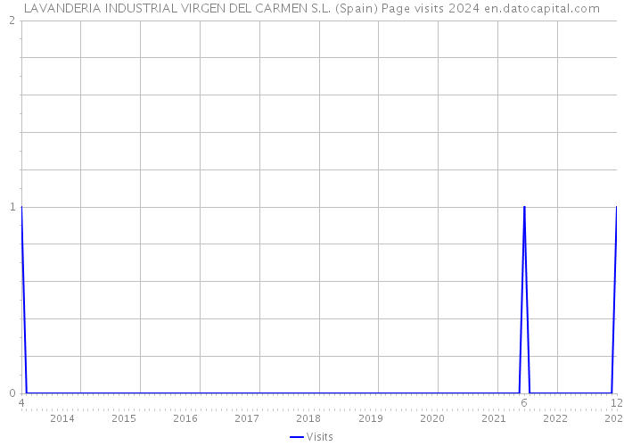 LAVANDERIA INDUSTRIAL VIRGEN DEL CARMEN S.L. (Spain) Page visits 2024 