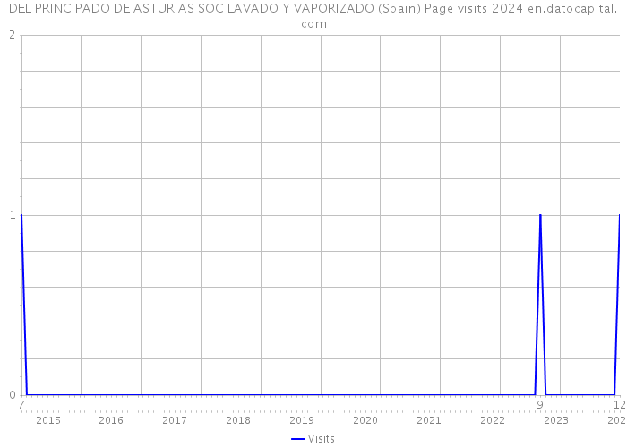 DEL PRINCIPADO DE ASTURIAS SOC LAVADO Y VAPORIZADO (Spain) Page visits 2024 