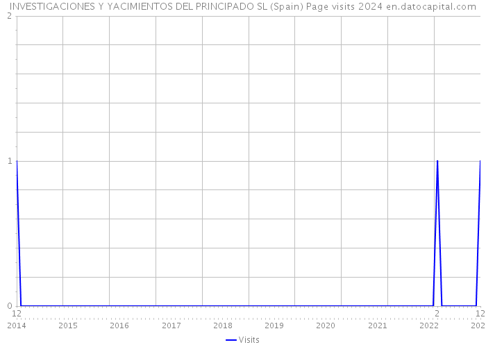 INVESTIGACIONES Y YACIMIENTOS DEL PRINCIPADO SL (Spain) Page visits 2024 