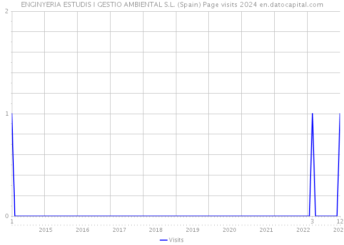 ENGINYERIA ESTUDIS I GESTIO AMBIENTAL S.L. (Spain) Page visits 2024 