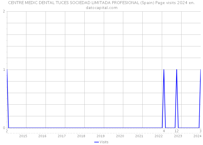 CENTRE MEDIC DENTAL TUCES SOCIEDAD LIMITADA PROFESIONAL (Spain) Page visits 2024 