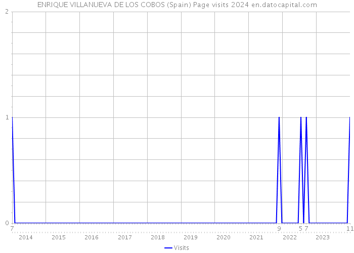 ENRIQUE VILLANUEVA DE LOS COBOS (Spain) Page visits 2024 