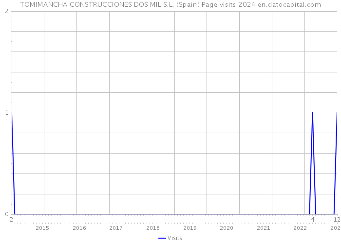 TOMIMANCHA CONSTRUCCIONES DOS MIL S.L. (Spain) Page visits 2024 