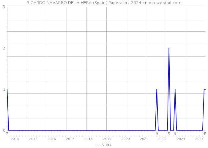 RICARDO NAVARRO DE LA HERA (Spain) Page visits 2024 