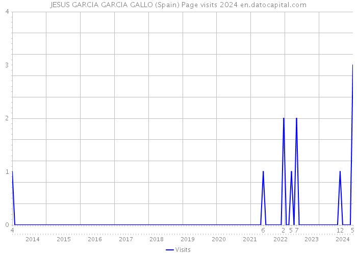 JESUS GARCIA GARCIA GALLO (Spain) Page visits 2024 