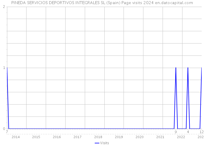 PINEDA SERVICIOS DEPORTIVOS INTEGRALES SL (Spain) Page visits 2024 