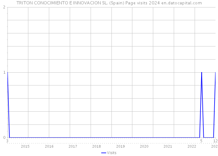TRITON CONOCIMIENTO E INNOVACION SL. (Spain) Page visits 2024 