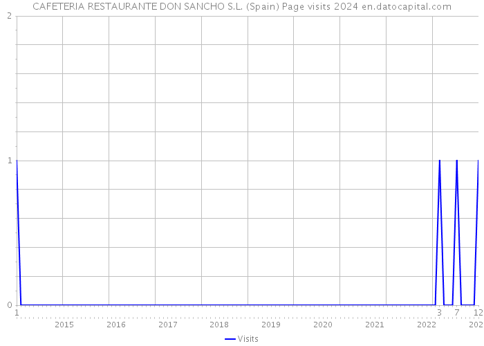 CAFETERIA RESTAURANTE DON SANCHO S.L. (Spain) Page visits 2024 