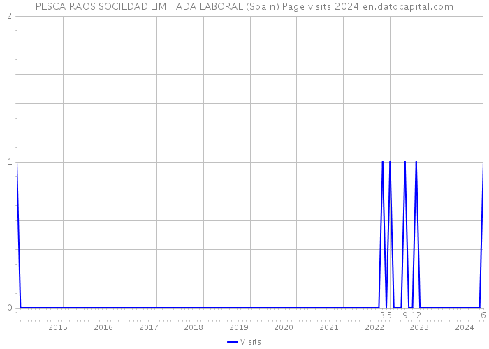 PESCA RAOS SOCIEDAD LIMITADA LABORAL (Spain) Page visits 2024 