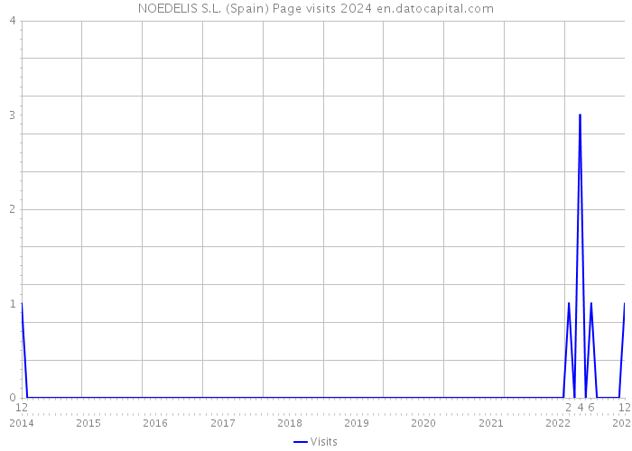 NOEDELIS S.L. (Spain) Page visits 2024 