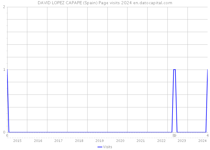 DAVID LOPEZ CAPAPE (Spain) Page visits 2024 