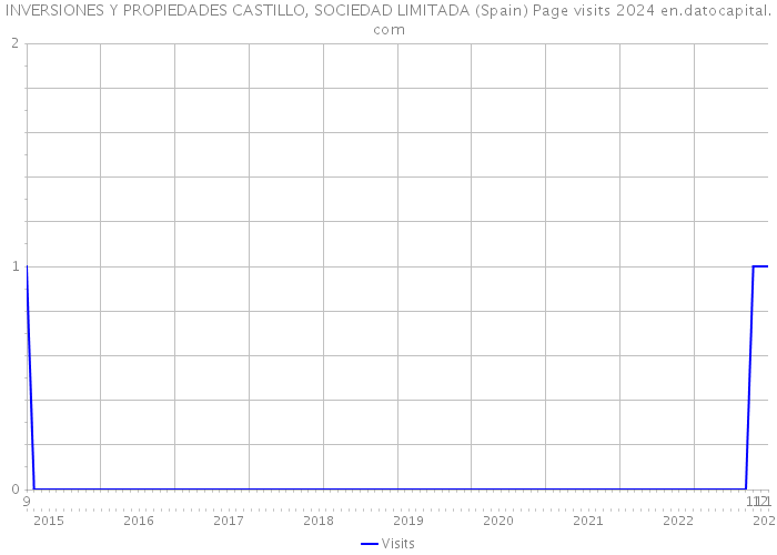 INVERSIONES Y PROPIEDADES CASTILLO, SOCIEDAD LIMITADA (Spain) Page visits 2024 