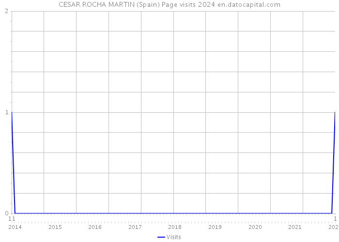 CESAR ROCHA MARTIN (Spain) Page visits 2024 