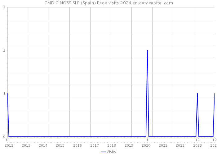 CMD GINOBS SLP (Spain) Page visits 2024 