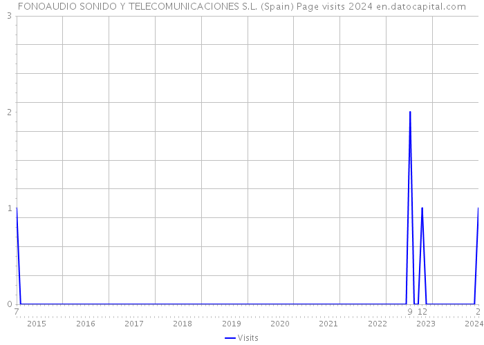 FONOAUDIO SONIDO Y TELECOMUNICACIONES S.L. (Spain) Page visits 2024 