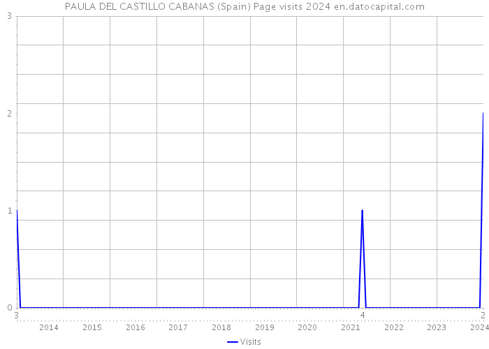 PAULA DEL CASTILLO CABANAS (Spain) Page visits 2024 