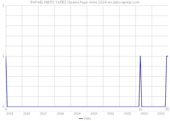 RAFAEL NIETO YAÑEZ (Spain) Page visits 2024 