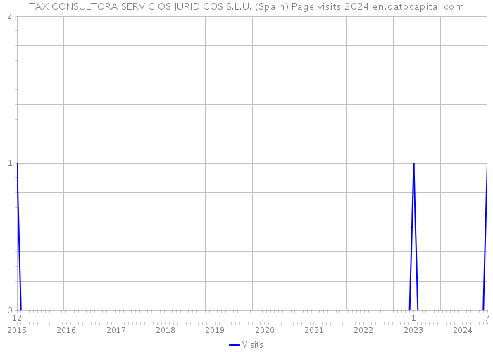 TAX CONSULTORA SERVICIOS JURIDICOS S.L.U. (Spain) Page visits 2024 