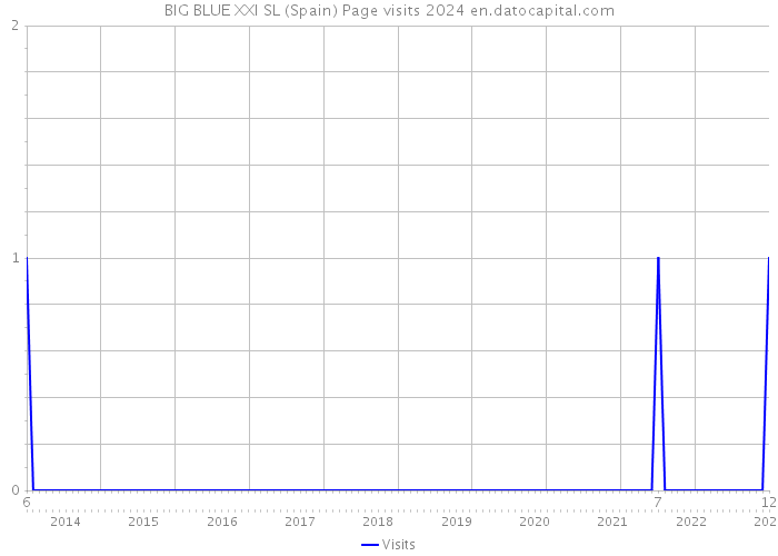 BIG BLUE XXI SL (Spain) Page visits 2024 