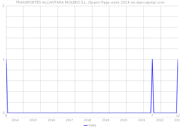 TRANSPORTES ALCANTARA MOLERO S.L. (Spain) Page visits 2024 
