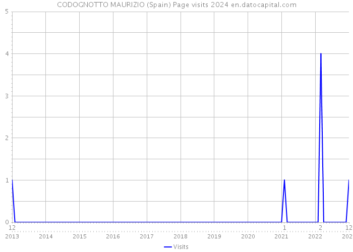 CODOGNOTTO MAURIZIO (Spain) Page visits 2024 