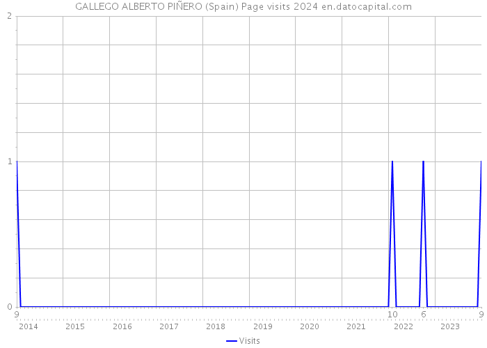 GALLEGO ALBERTO PIÑERO (Spain) Page visits 2024 