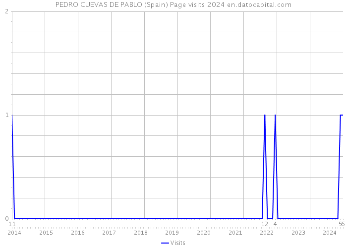 PEDRO CUEVAS DE PABLO (Spain) Page visits 2024 