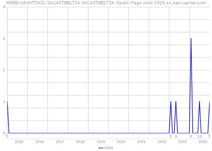 MIREN ARANTZAZU SAGASTIBELTZA SAGASTIBELTZA (Spain) Page visits 2024 