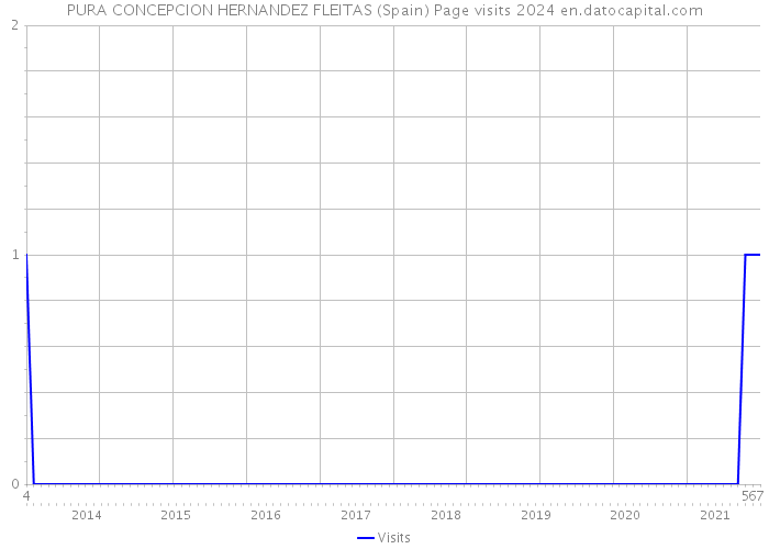 PURA CONCEPCION HERNANDEZ FLEITAS (Spain) Page visits 2024 