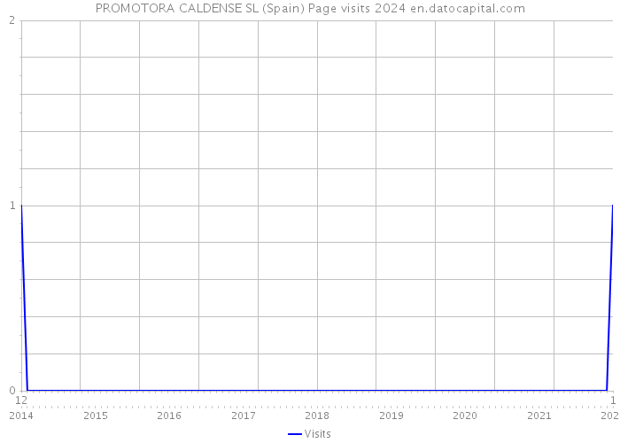 PROMOTORA CALDENSE SL (Spain) Page visits 2024 