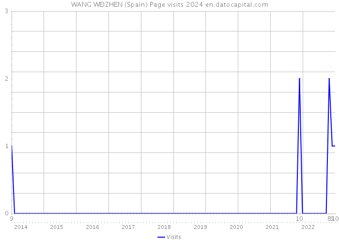 WANG WEIZHEN (Spain) Page visits 2024 