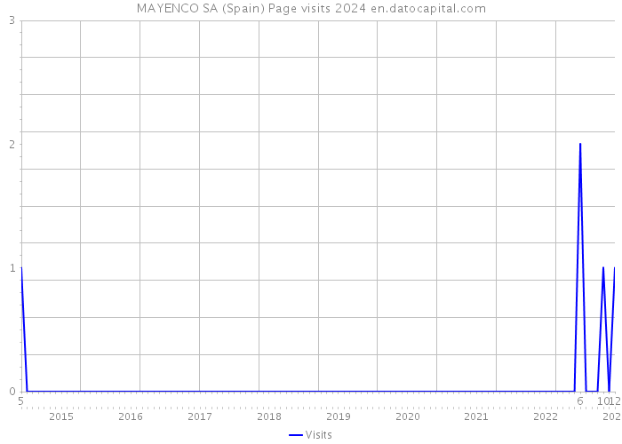 MAYENCO SA (Spain) Page visits 2024 