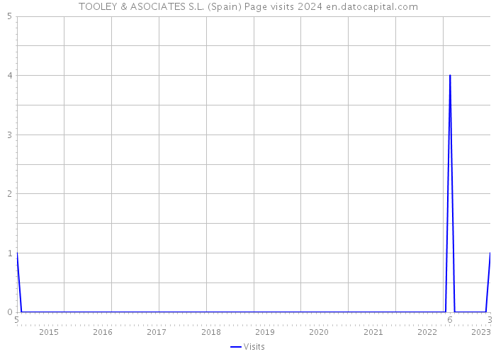 TOOLEY & ASOCIATES S.L. (Spain) Page visits 2024 