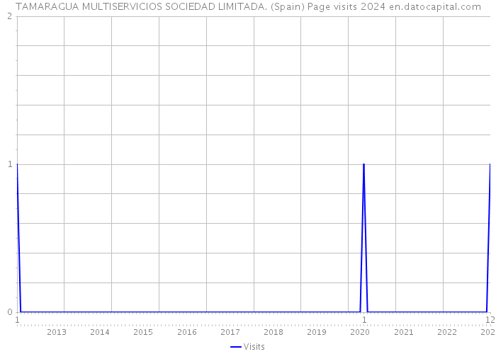 TAMARAGUA MULTISERVICIOS SOCIEDAD LIMITADA. (Spain) Page visits 2024 