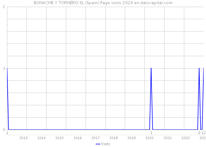 BONACHE Y TORNERO SL (Spain) Page visits 2024 