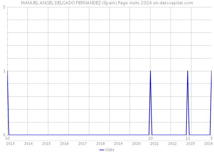 MANUEL ANGEL DELGADO FERNANDEZ (Spain) Page visits 2024 