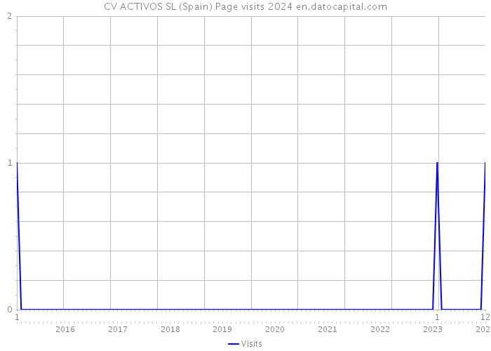 CV ACTIVOS SL (Spain) Page visits 2024 