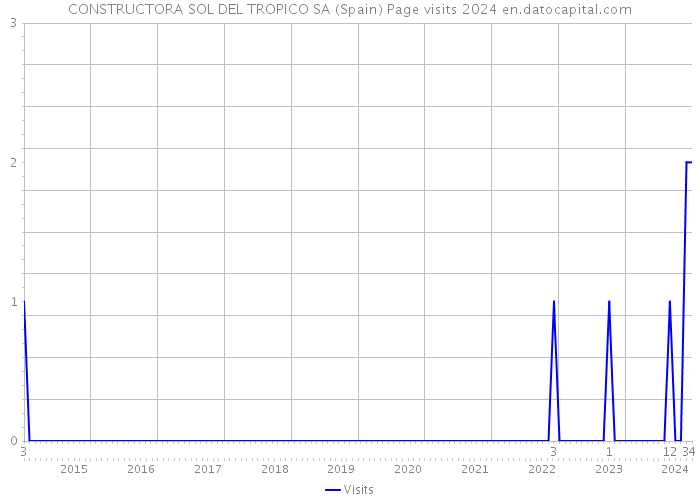 CONSTRUCTORA SOL DEL TROPICO SA (Spain) Page visits 2024 
