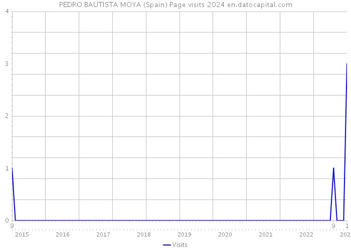 PEDRO BAUTISTA MOYA (Spain) Page visits 2024 