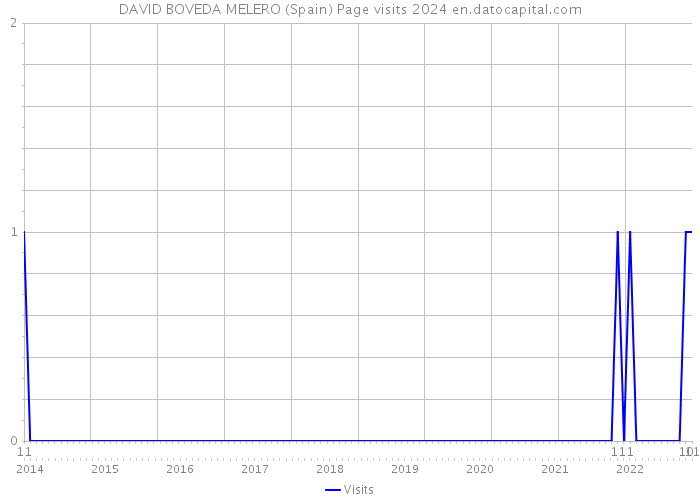DAVID BOVEDA MELERO (Spain) Page visits 2024 