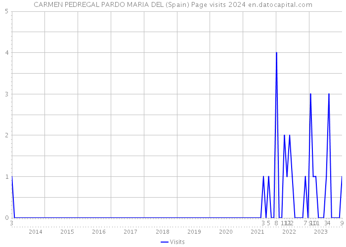 CARMEN PEDREGAL PARDO MARIA DEL (Spain) Page visits 2024 